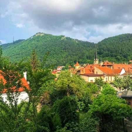 Casa Alise-Luise Appartement Braşov Buitenkant foto