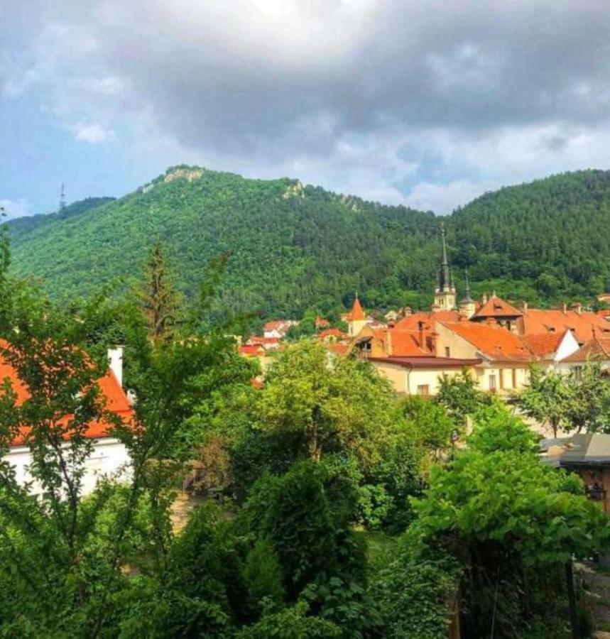 Casa Alise-Luise Appartement Braşov Buitenkant foto